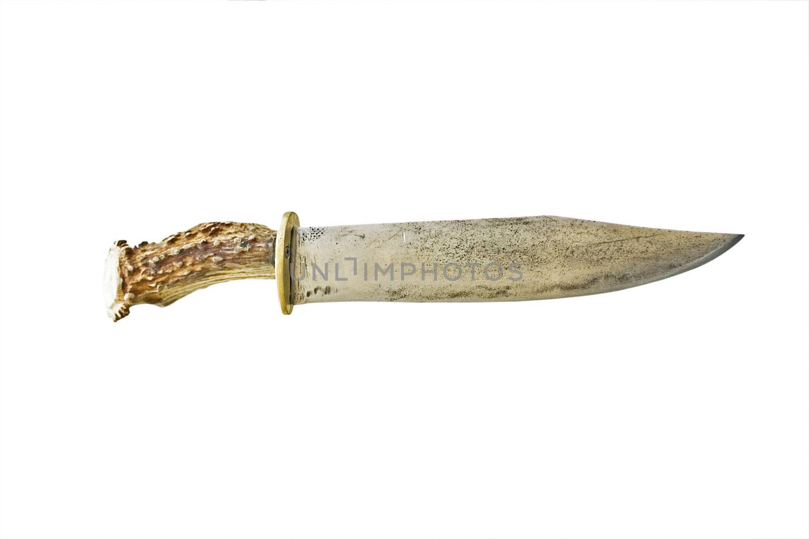 Bone handle hunting knife isolated on white
