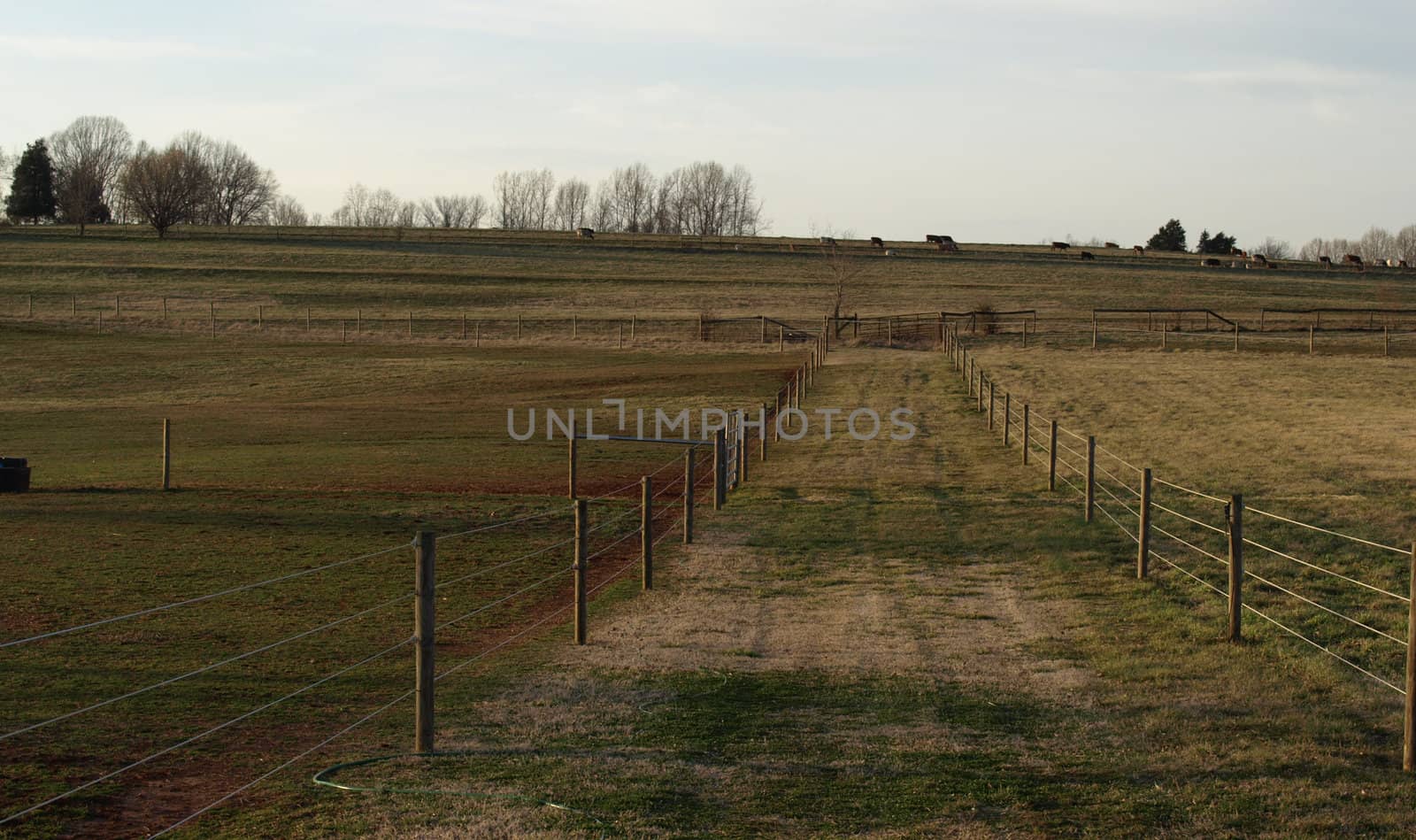 A farm with fence to seperate the fields