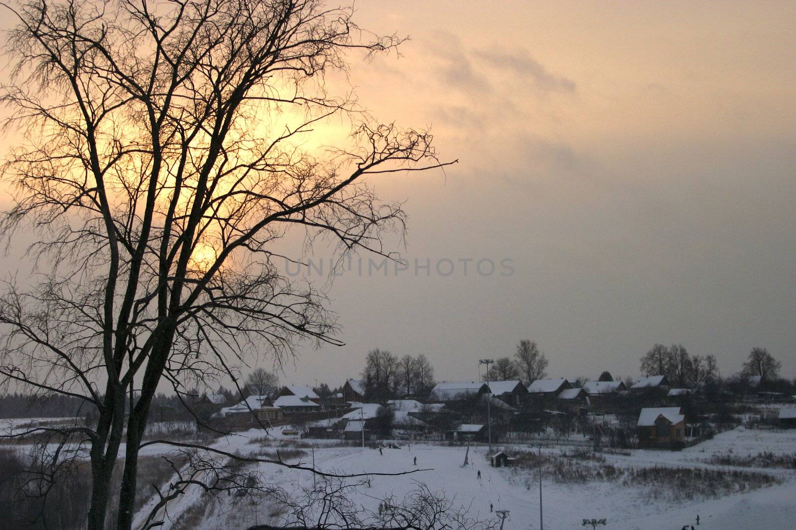 Tree in snow on a slope. On a background a village