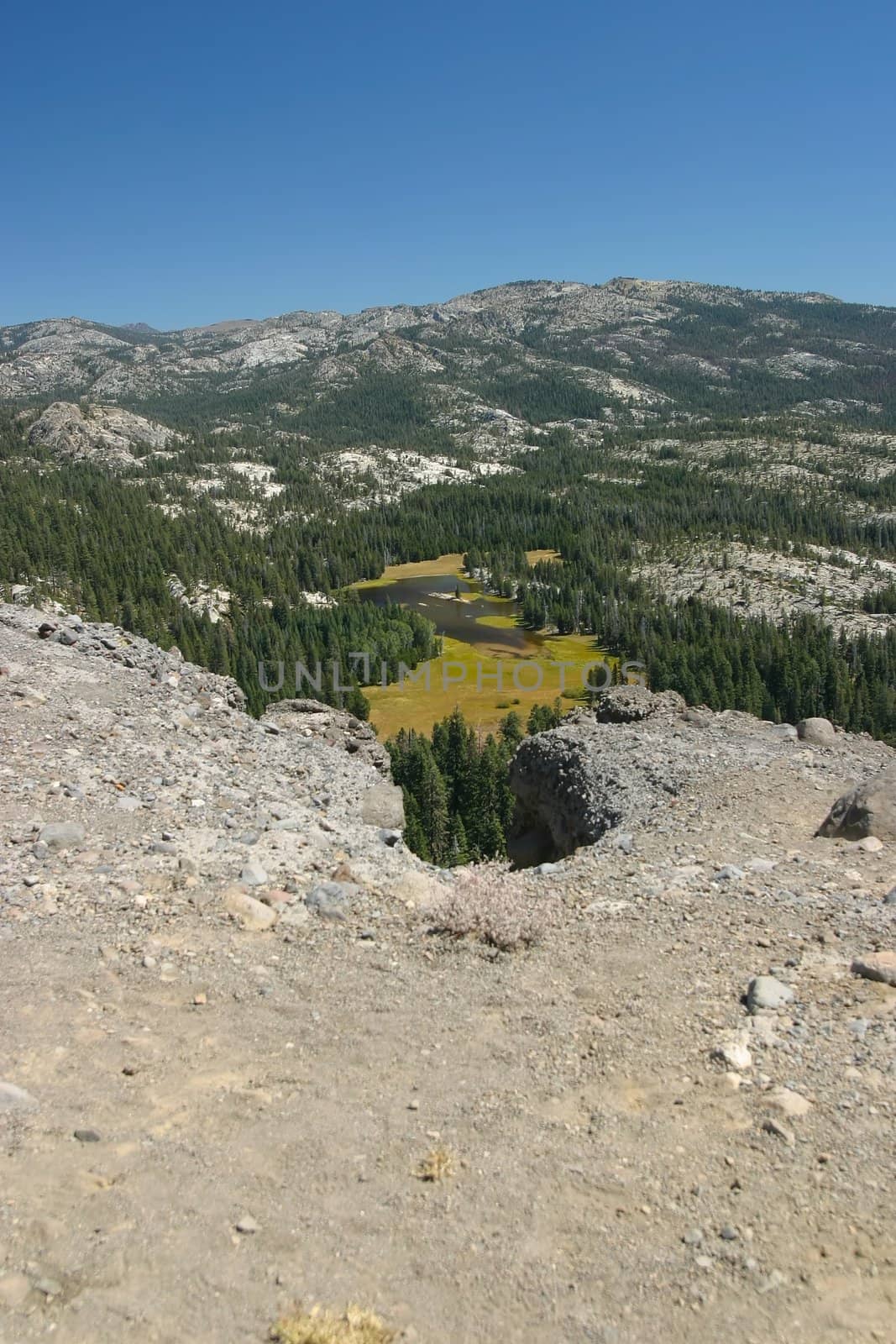 Bear Valley is a census-designated place in Alpine County, California, United States.