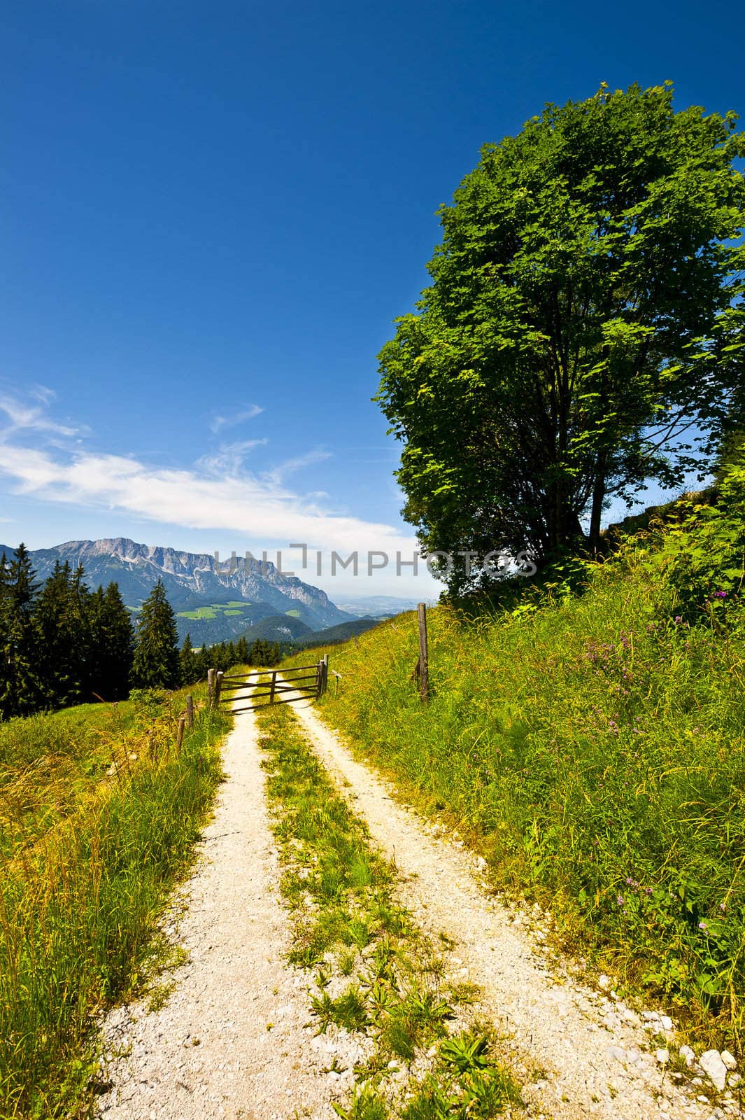 Wooden Gate in the Bavarian Alps, Germany