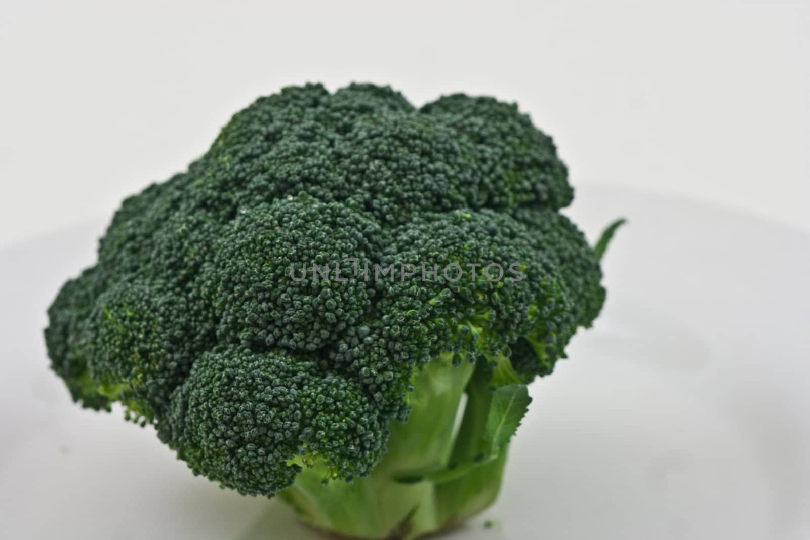 A single stalk of freshbroccoli on a white background