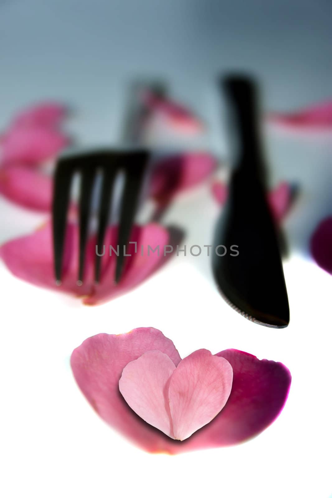 knife and fork with heart shaped rose petals by morrbyte