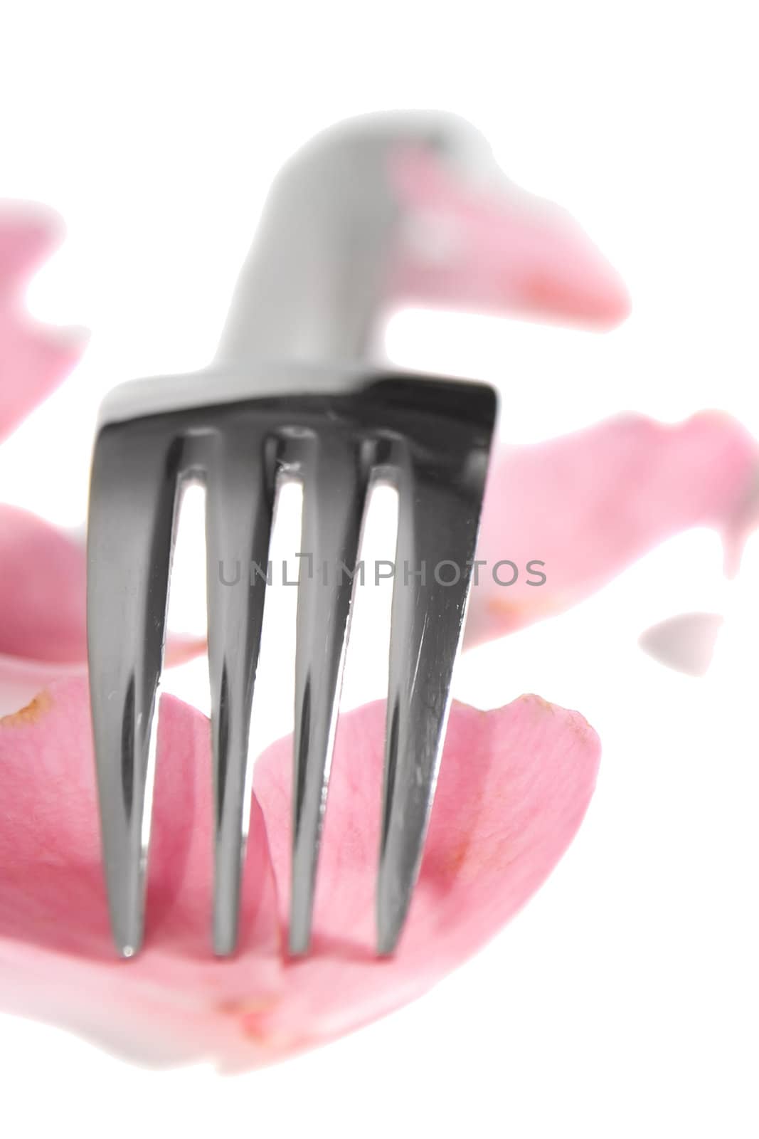 fork with rose petals for concept on romantic dining