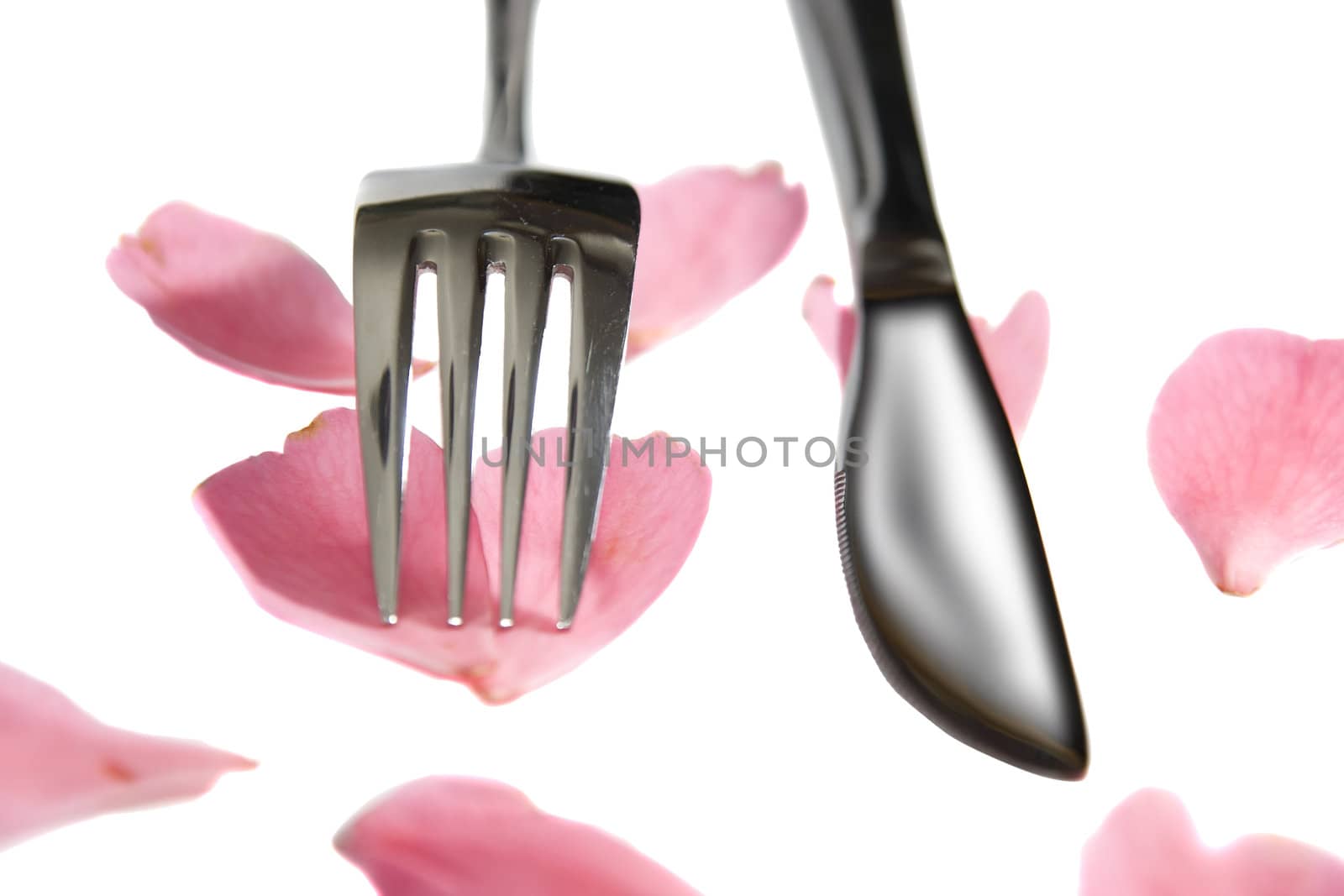 silver service knife and fork isolated with rose petals by morrbyte