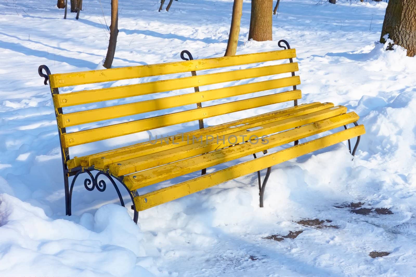 Yellow bench in winter park by qiiip