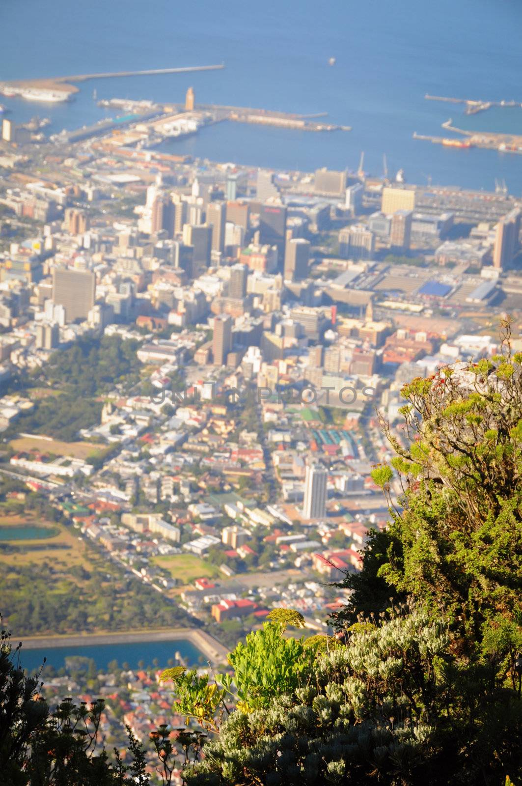 View over Cape Town, South Africa, with the harbor in the background from at Table mountain 