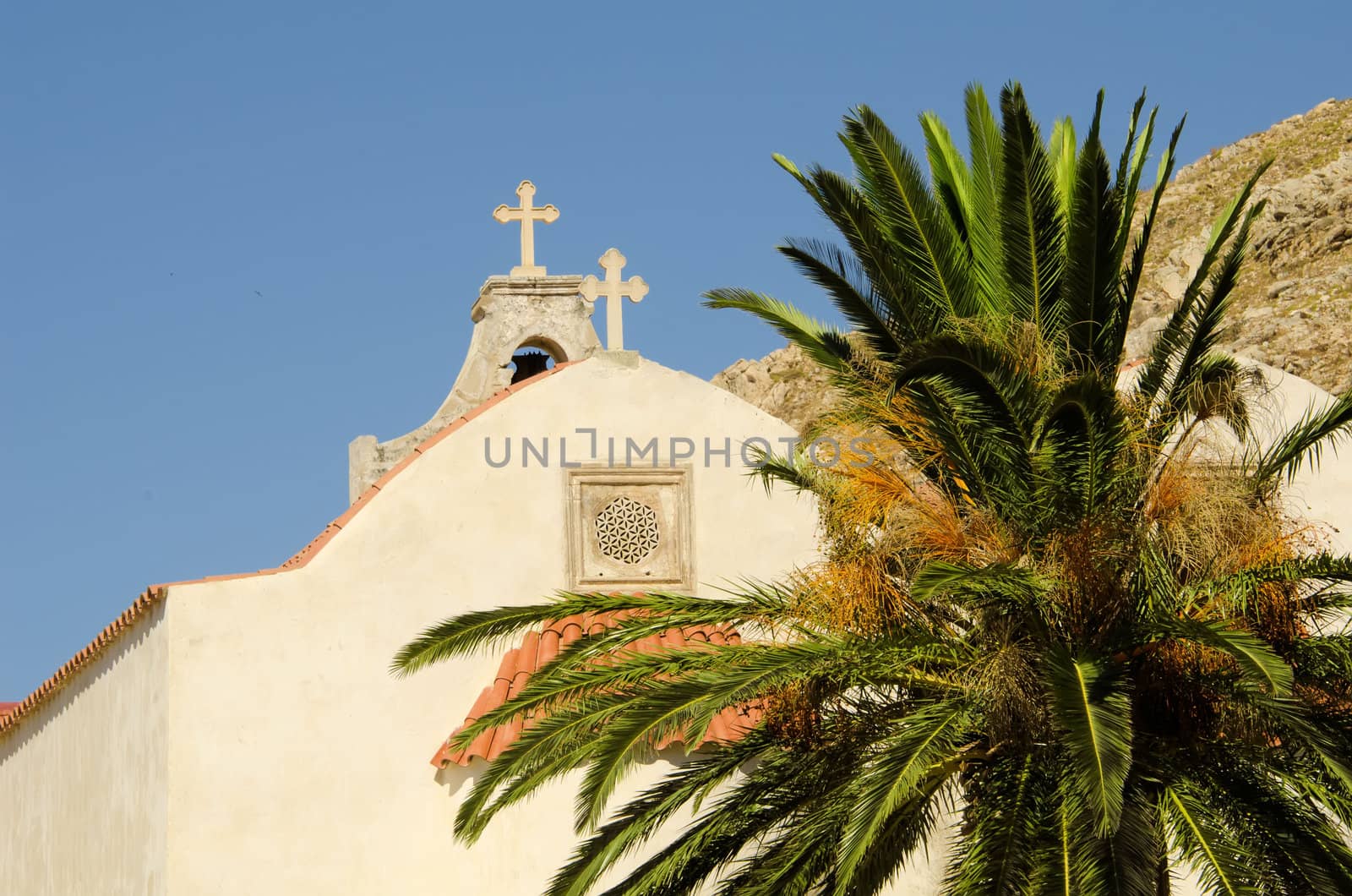 the church and a palm tree