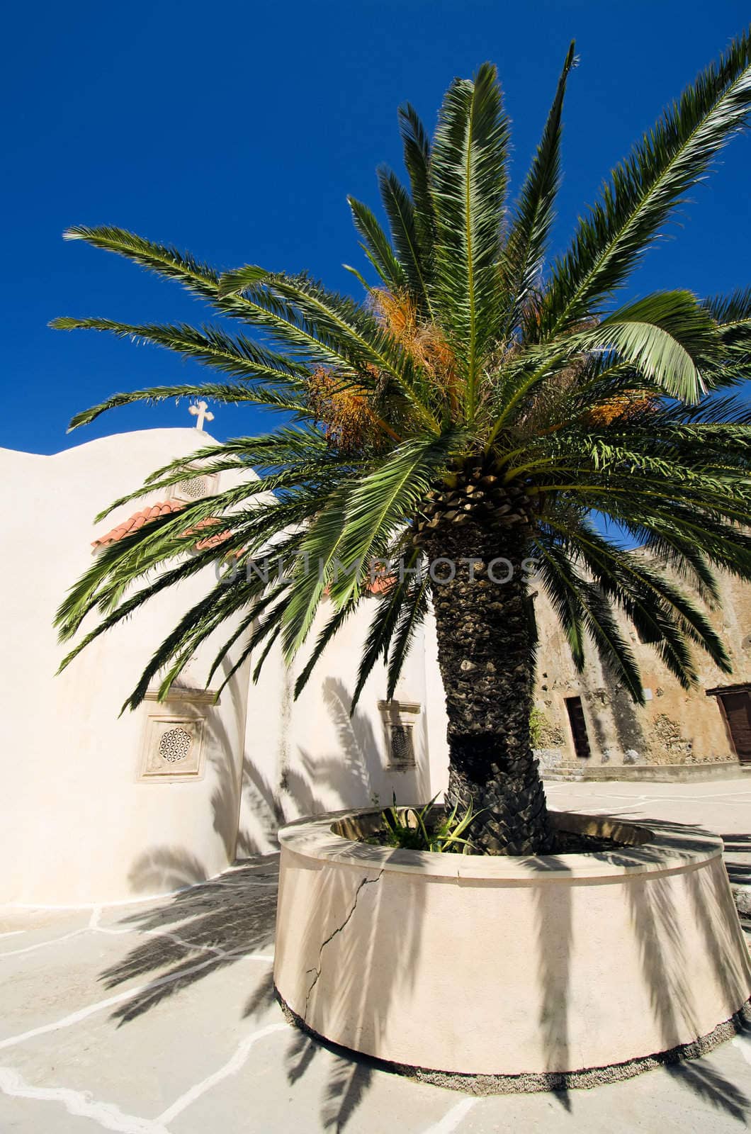 monastery and palm tree by njaj