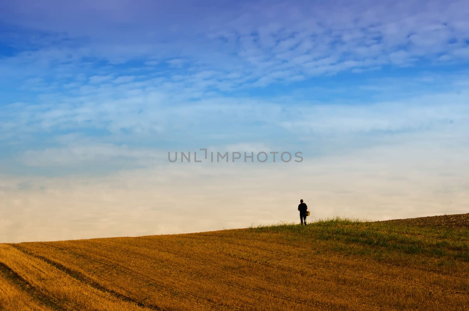 the walker alone in the fields