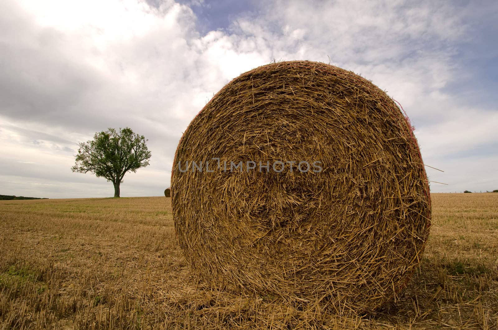 the straw ball on the field