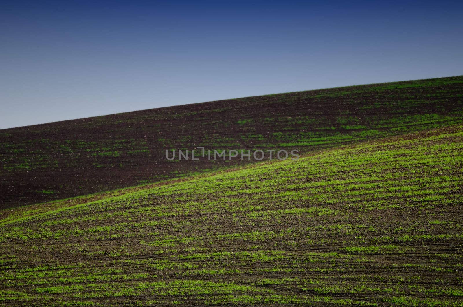 the fields and hills by njaj