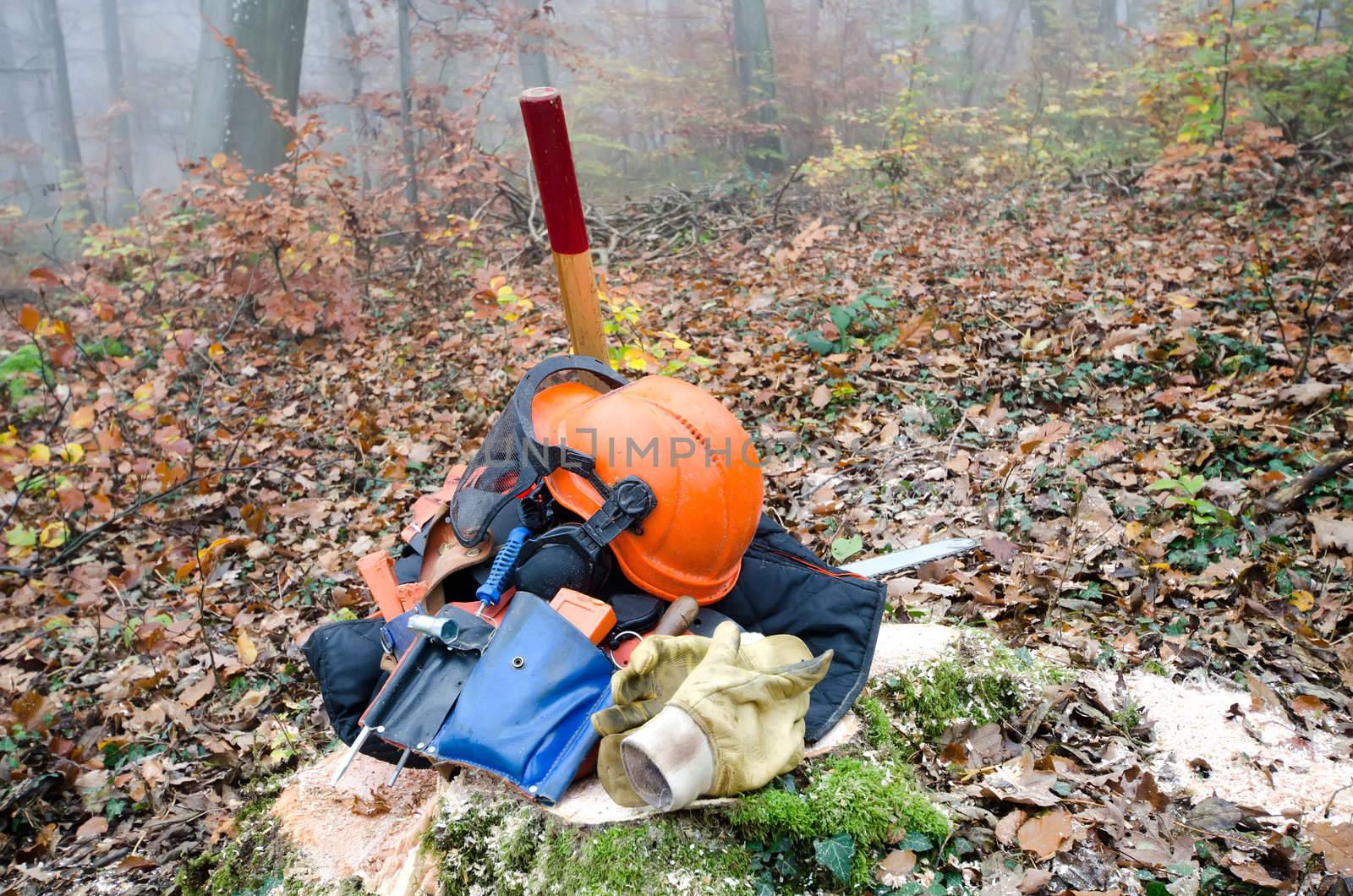 the tools of the lumberjack by njaj