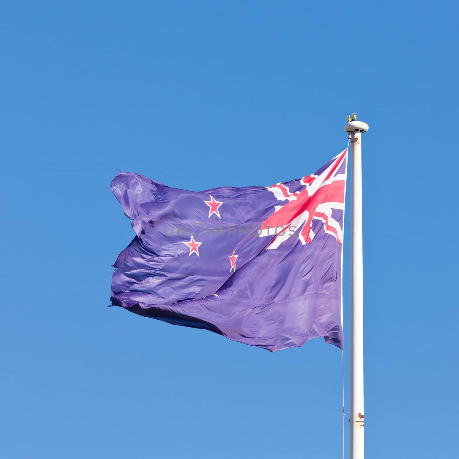 New Zealand national flag banner flying on pole in wind with blue sky background