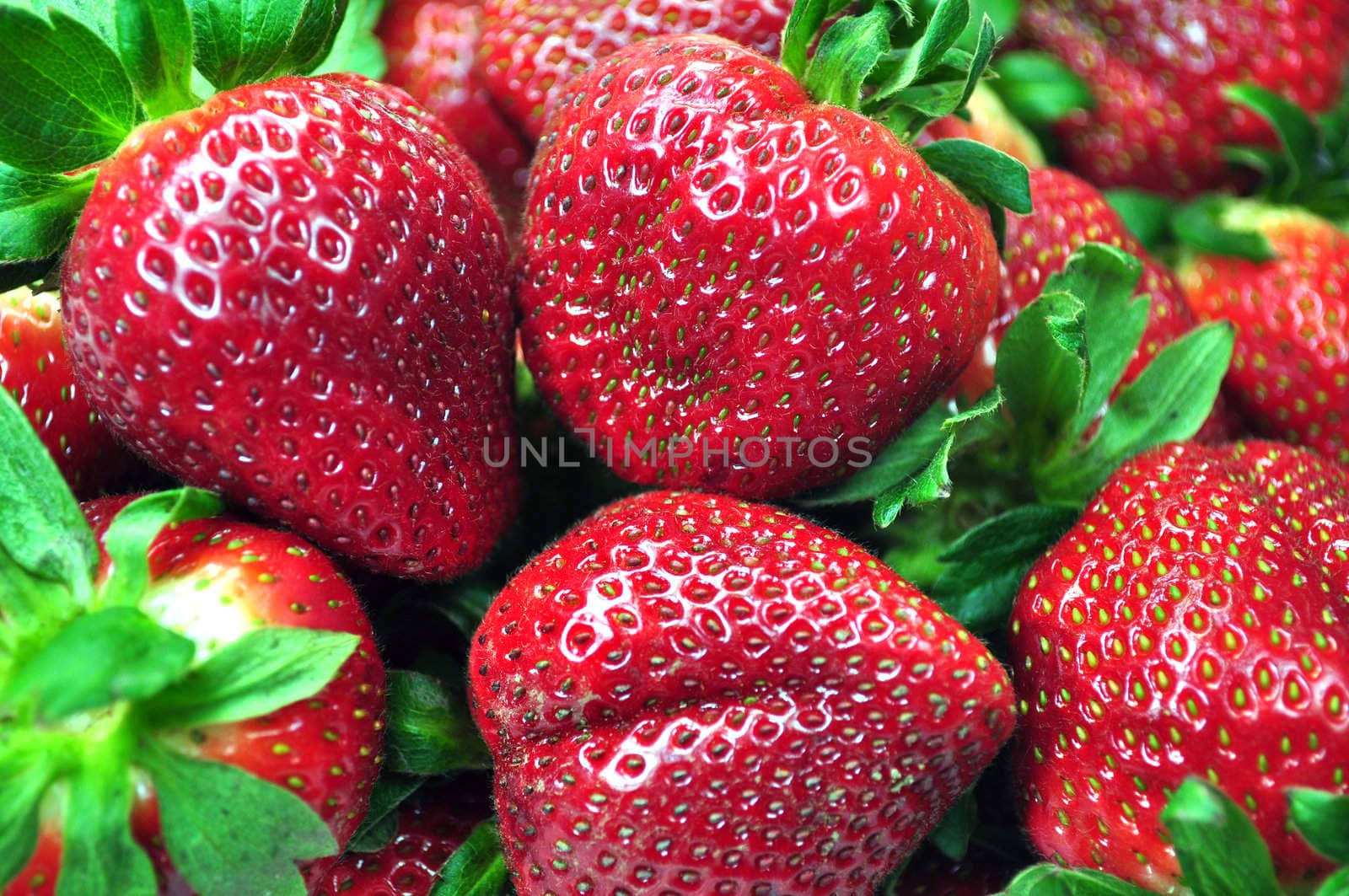 Close up of fresh, colorful, tasty, strawberries 