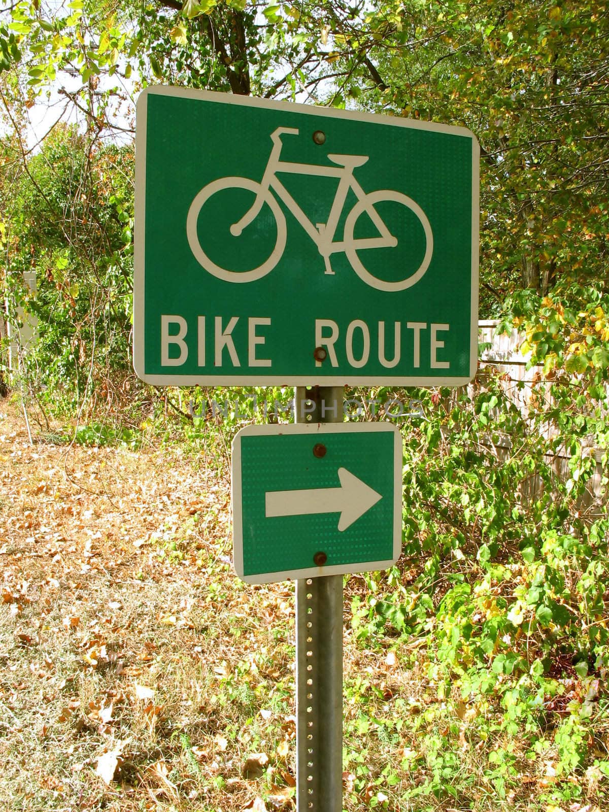 A green bike route sign on the side of the road.