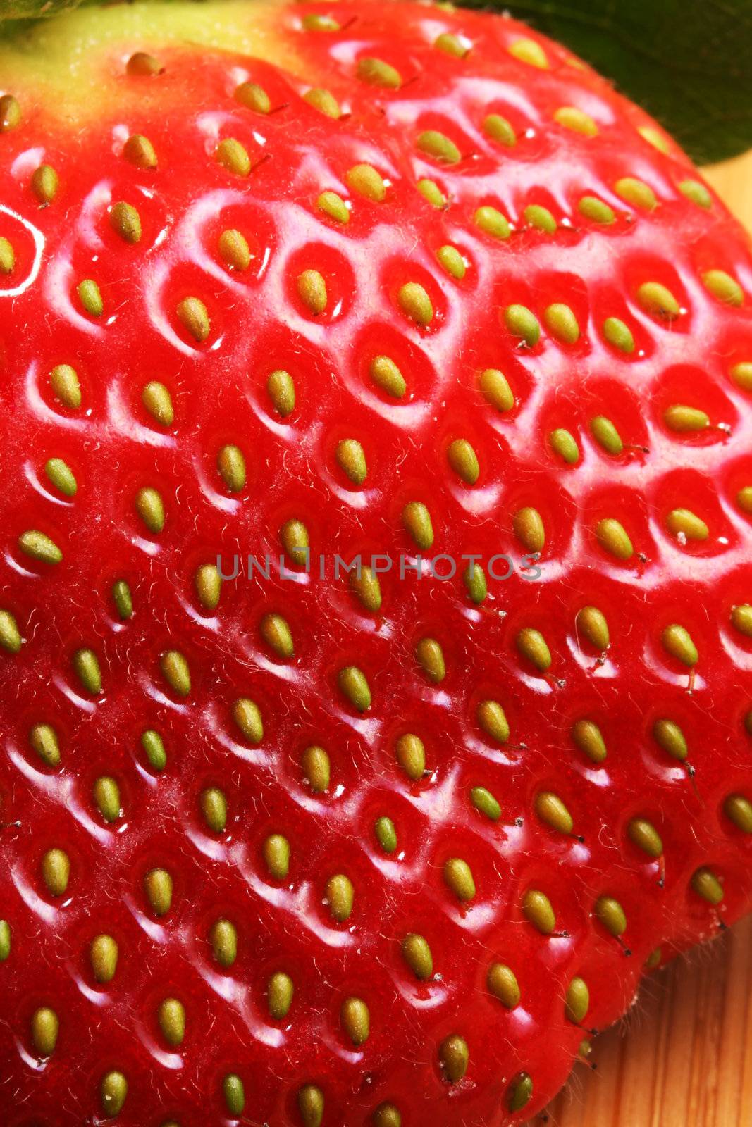 Strawberry macro by Geoarts