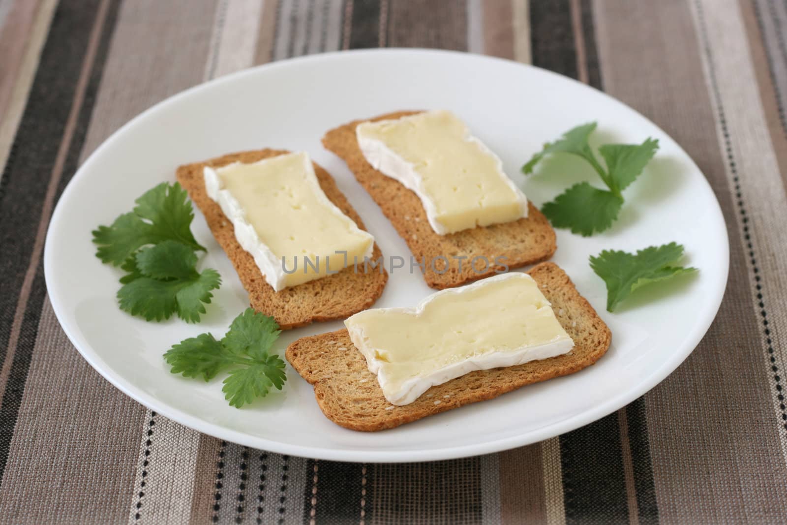 toasts with cheese by nataliamylova