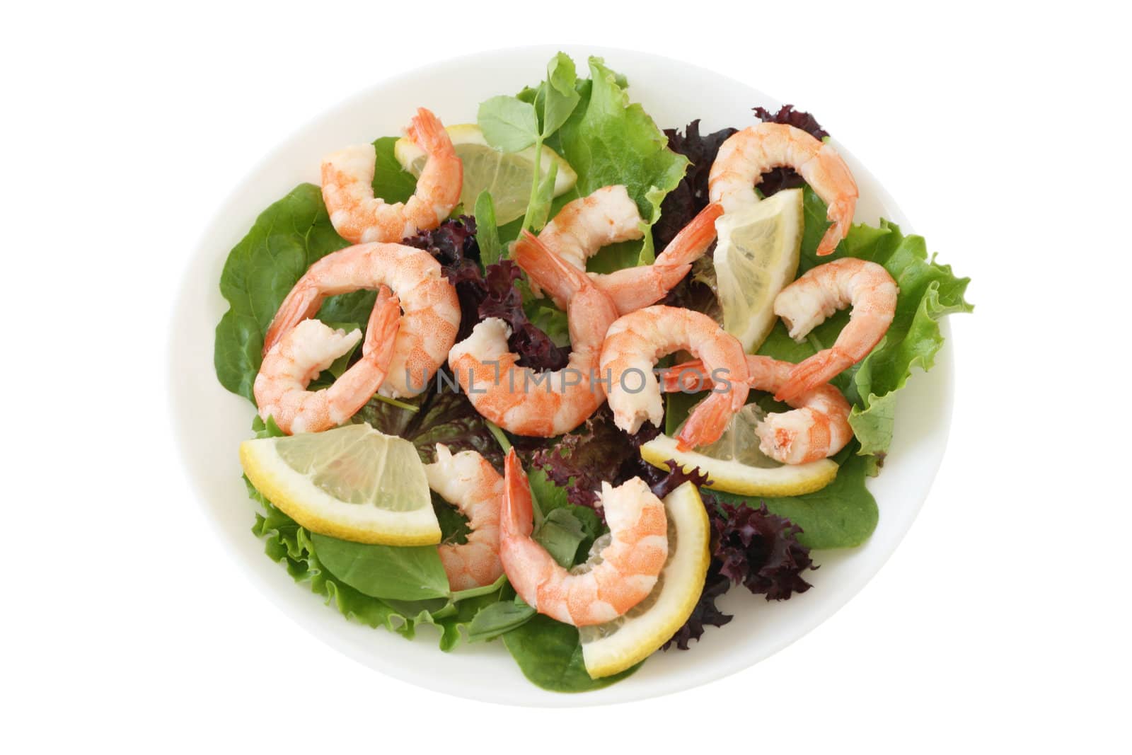 salad with shrimps