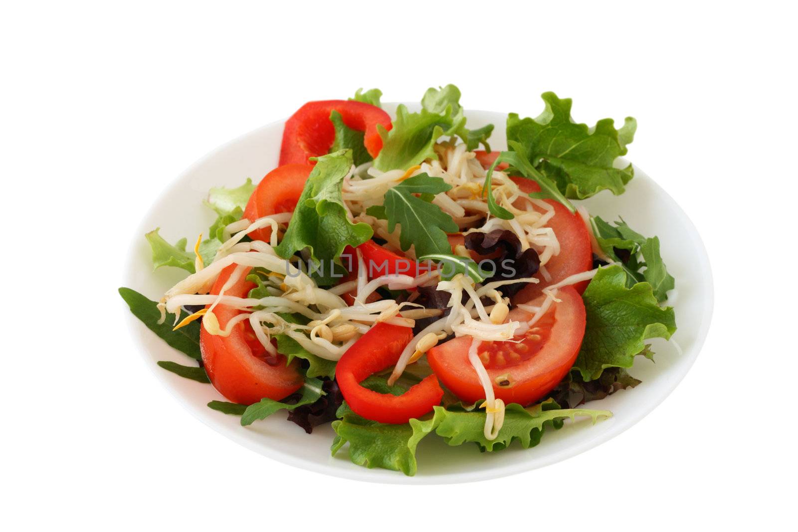 vegetable salad