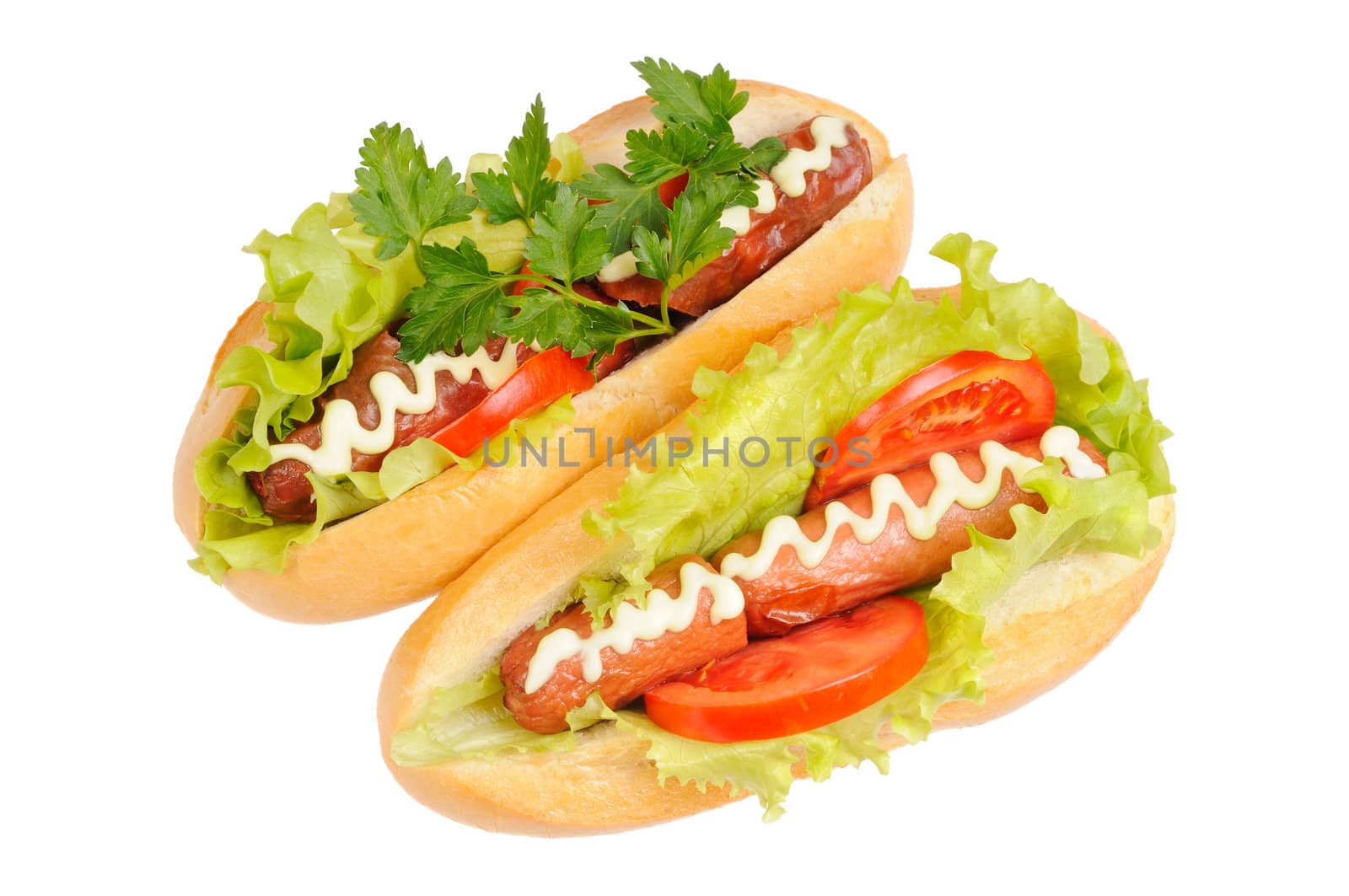 Two tasty and delicious hotdog. Isolated on white.