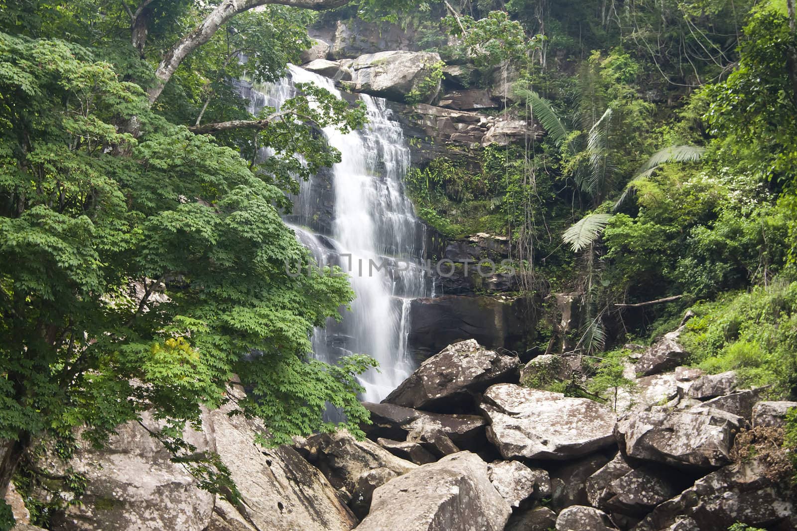 Beautiful rain forest and waterfall at Thailand. 