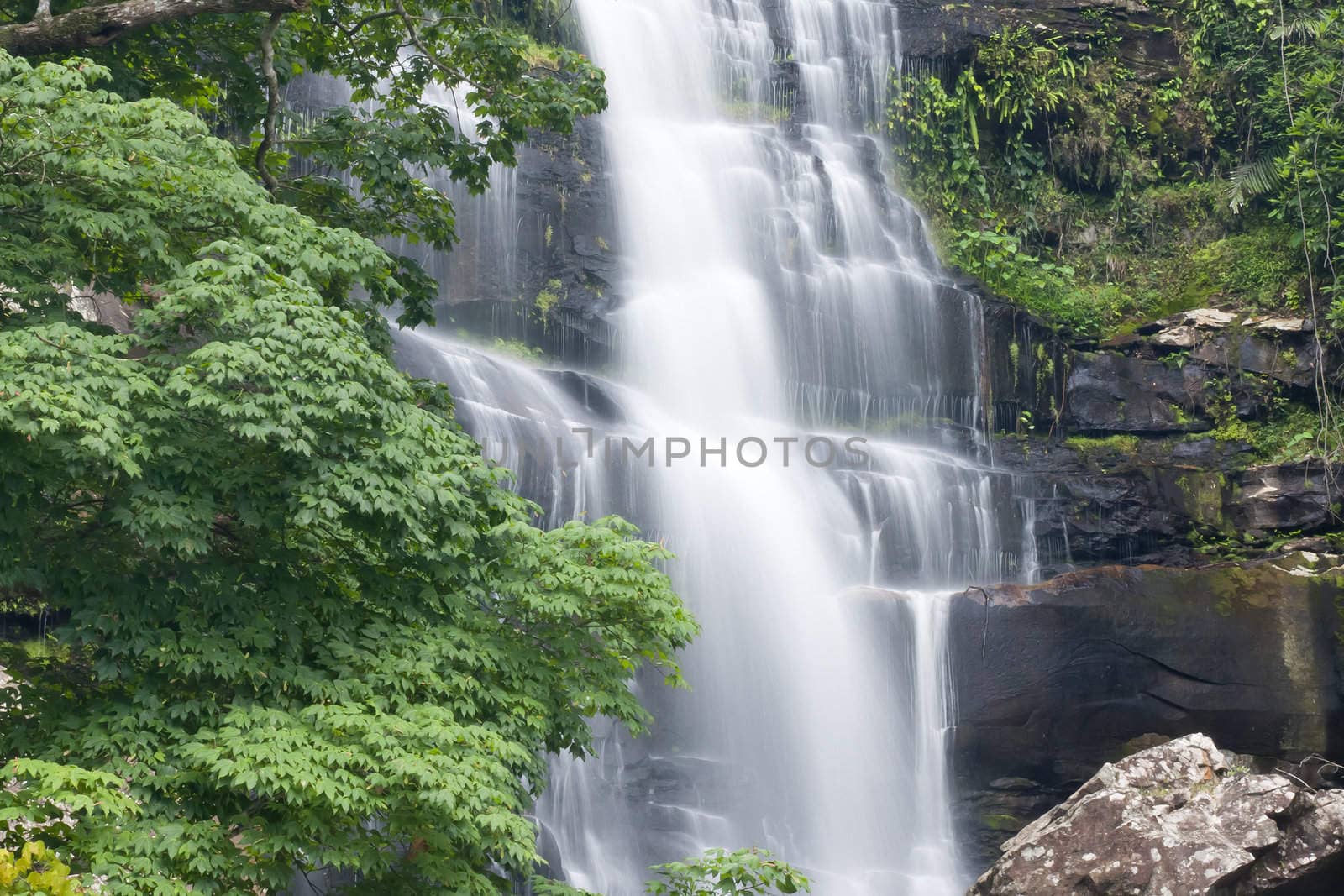 Beautiful rain forest and waterfall at Thailand. 