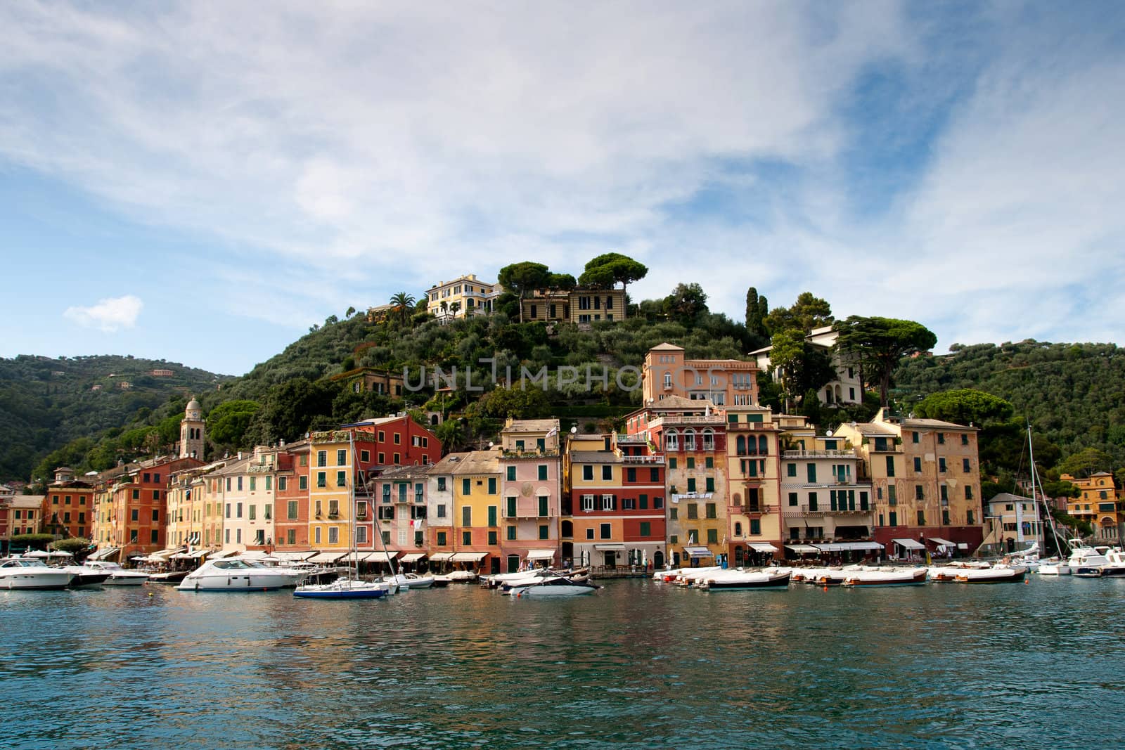 Portofino yacht port and luxury villas at the  hill, Italy , Liguria