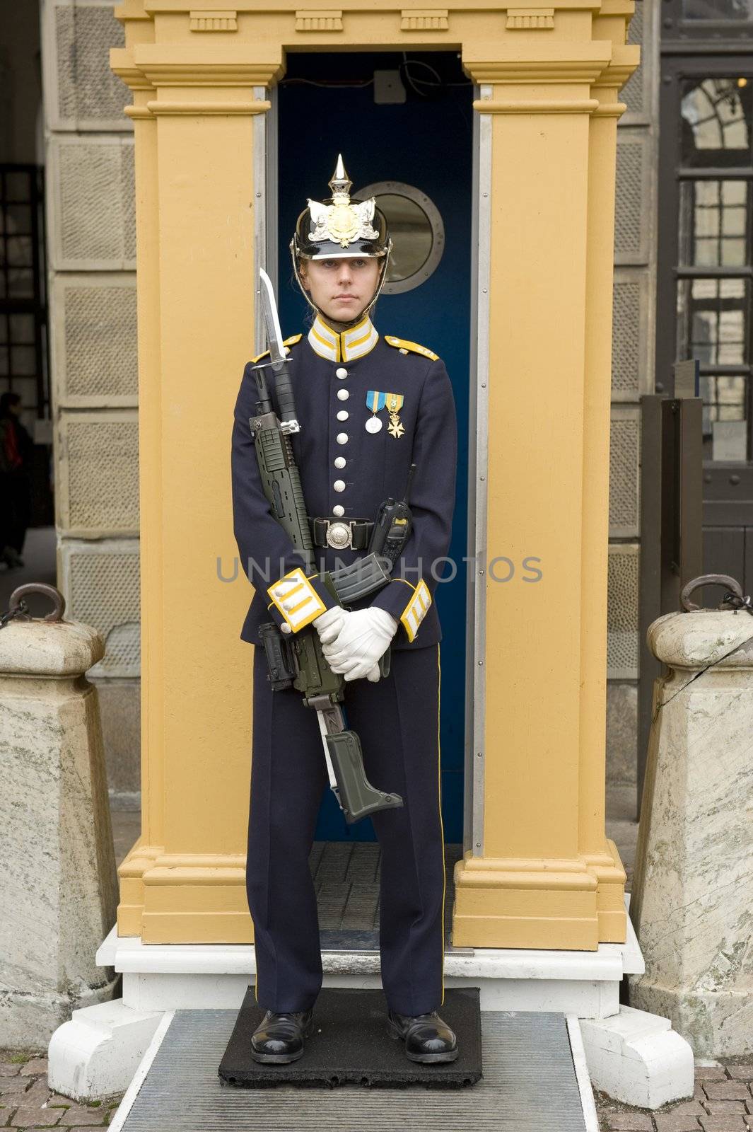 Sweden Royal guards by Alenmax