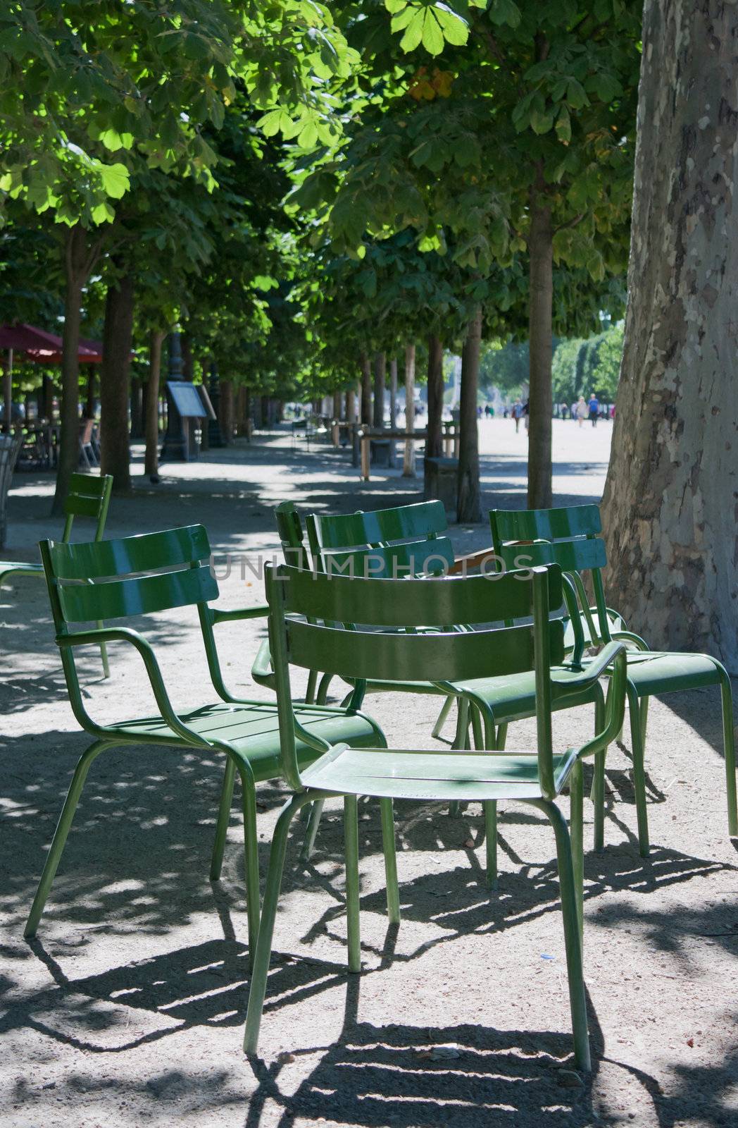 Chairs for public use in an path of the Tuileries Gardens in Paris