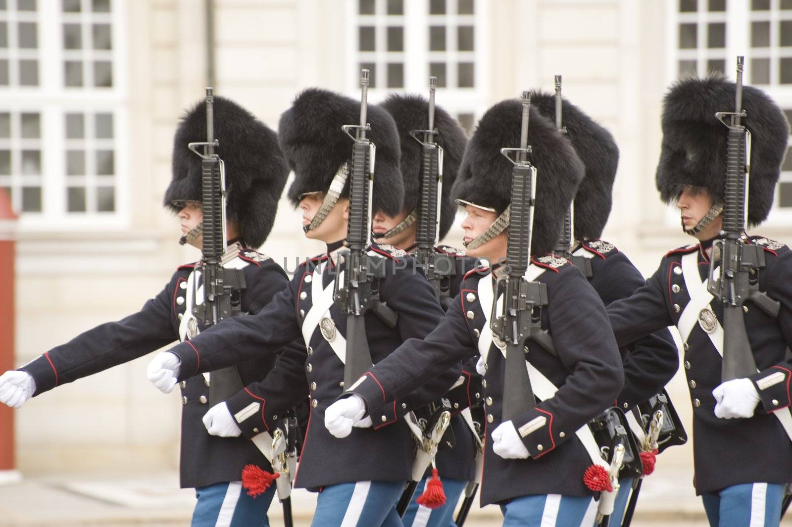 Denmark Royal guard by Alenmax