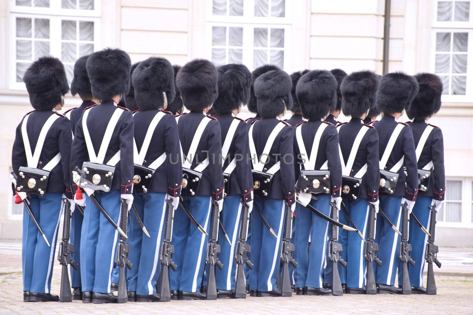 Denmark Royal guard by Alenmax