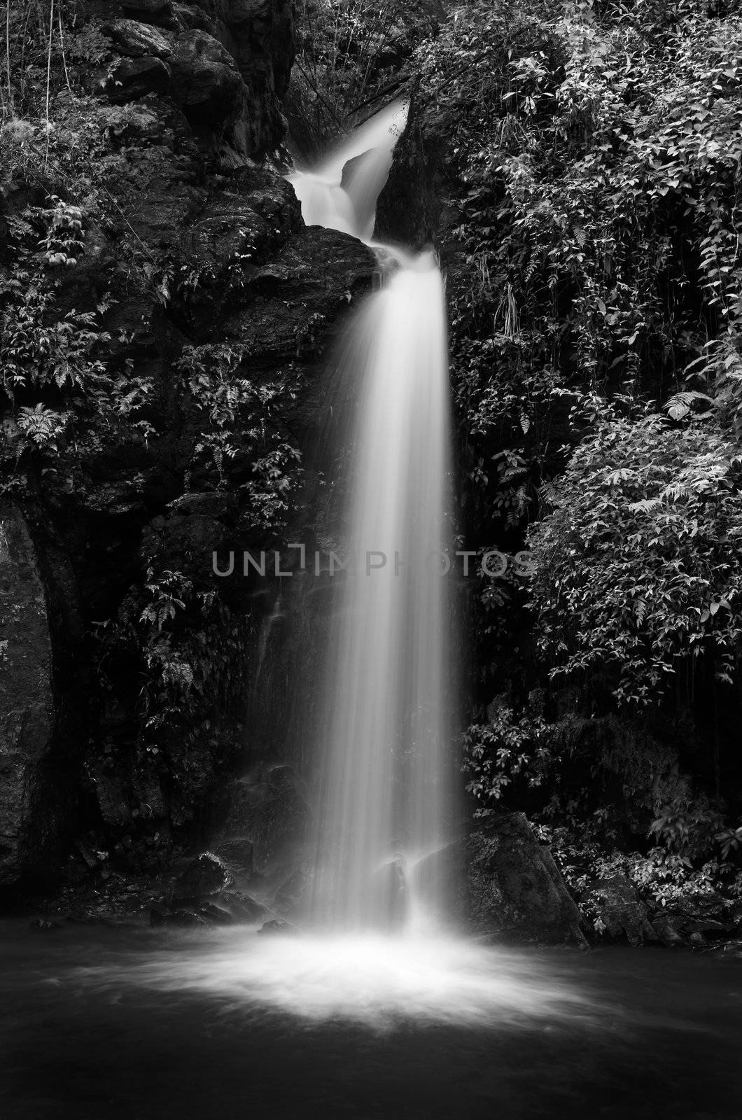 Mon Tha Than waterfall Black and White by nuttakit