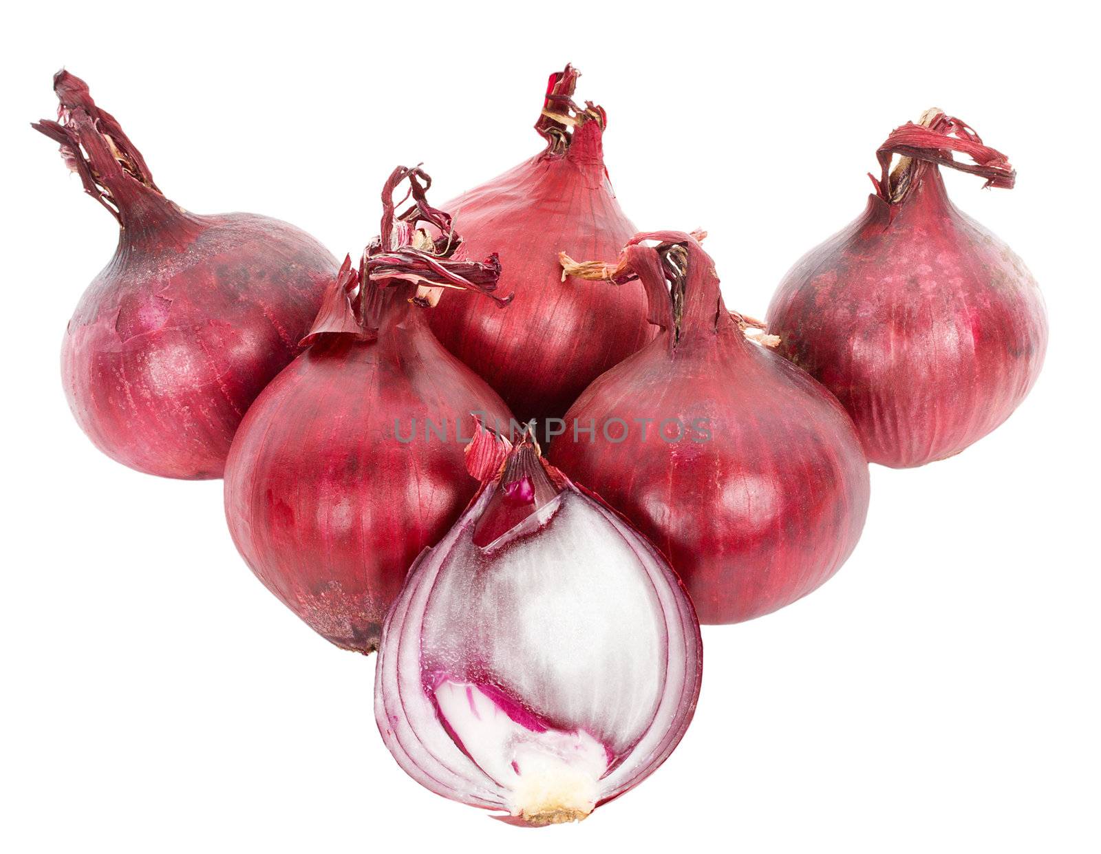 red onion by Alekcey