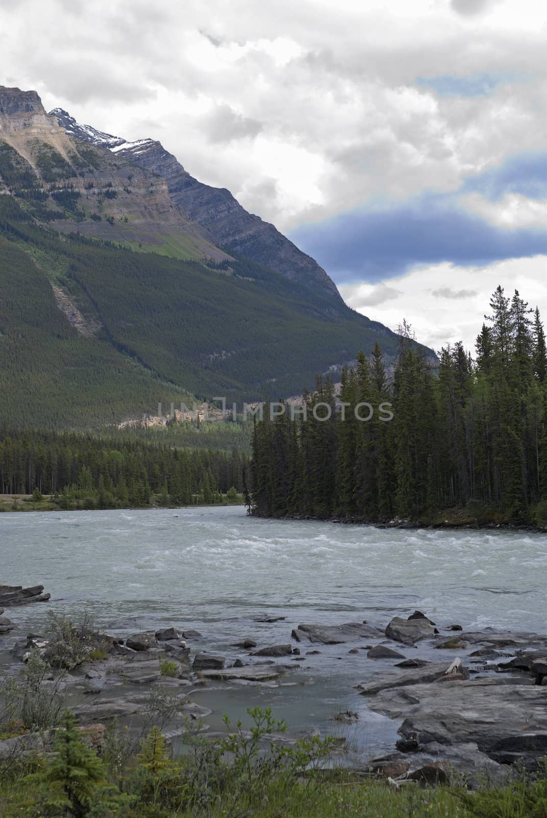 Blue cloudy skies and forests add color to the grey green water.