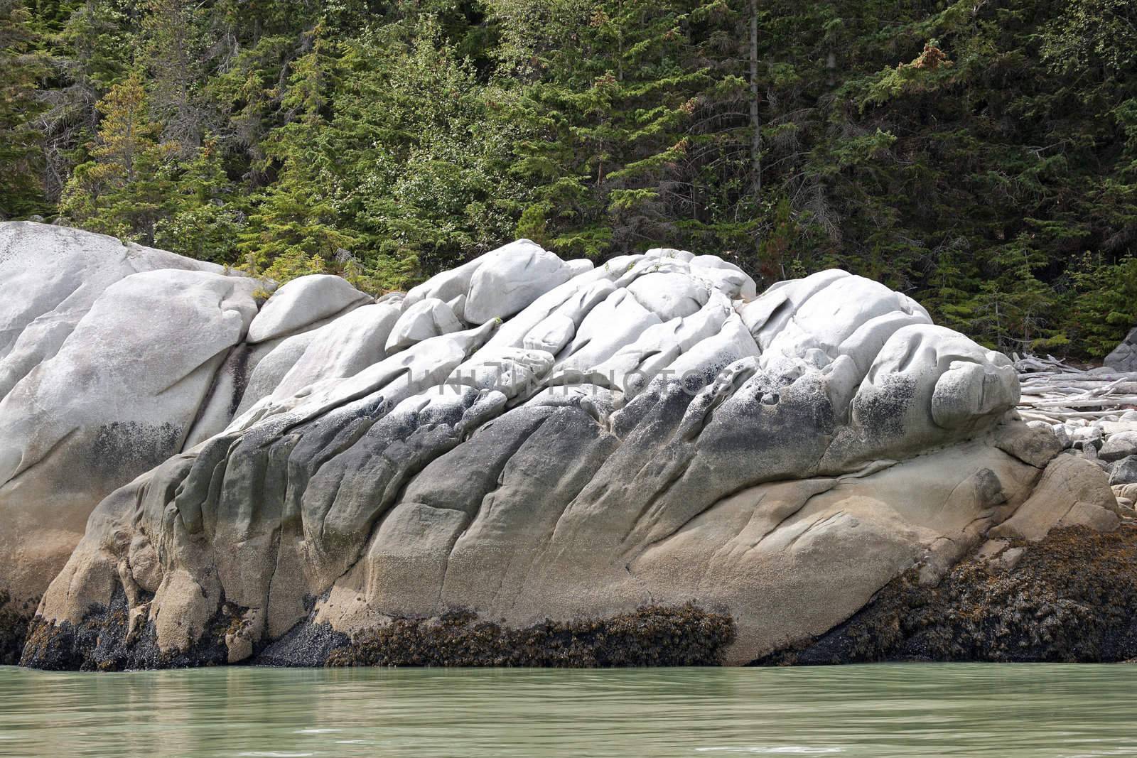 Rocks in the shape of reptile monster at Glacier Bay near Skagwa by Claudine