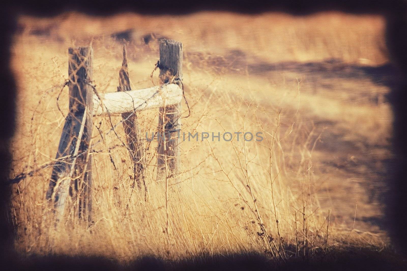 Dirt road leading off into distance with fence post in foreground