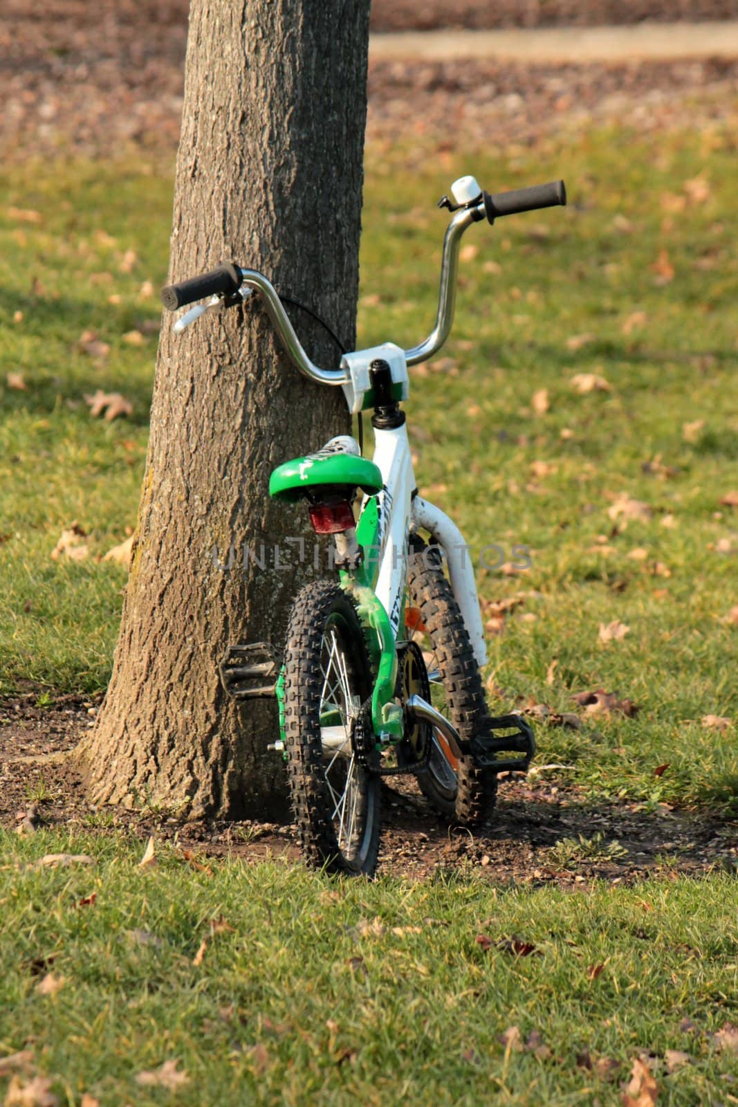 Little white and green bike for child against the trunk of a tree in a park