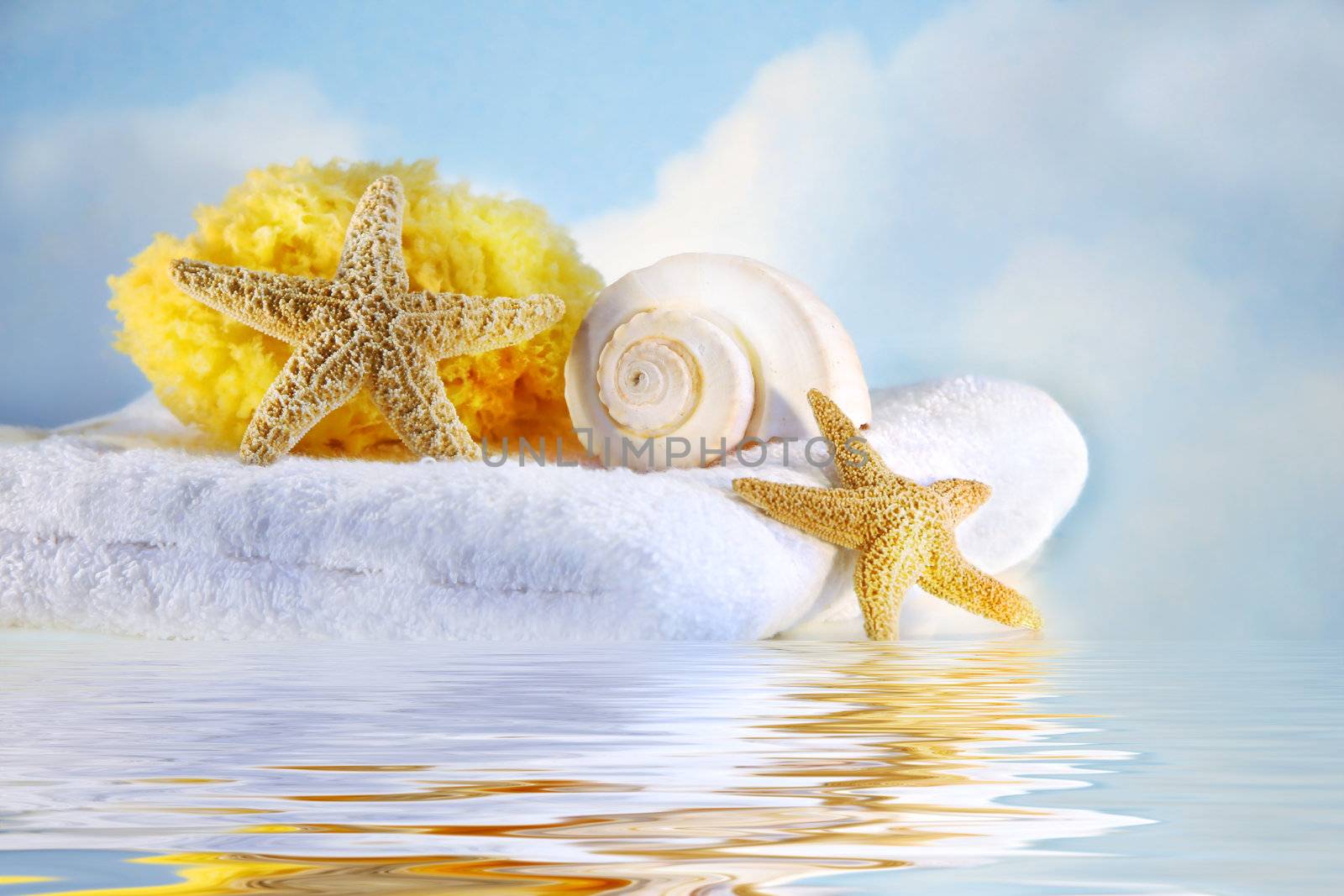 Sea shells and towel by Sandralise