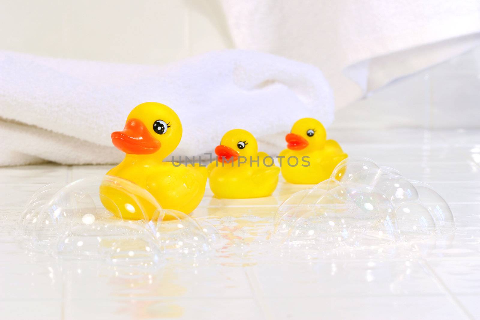 Three yellow rubber ducks on white bathroom tiles