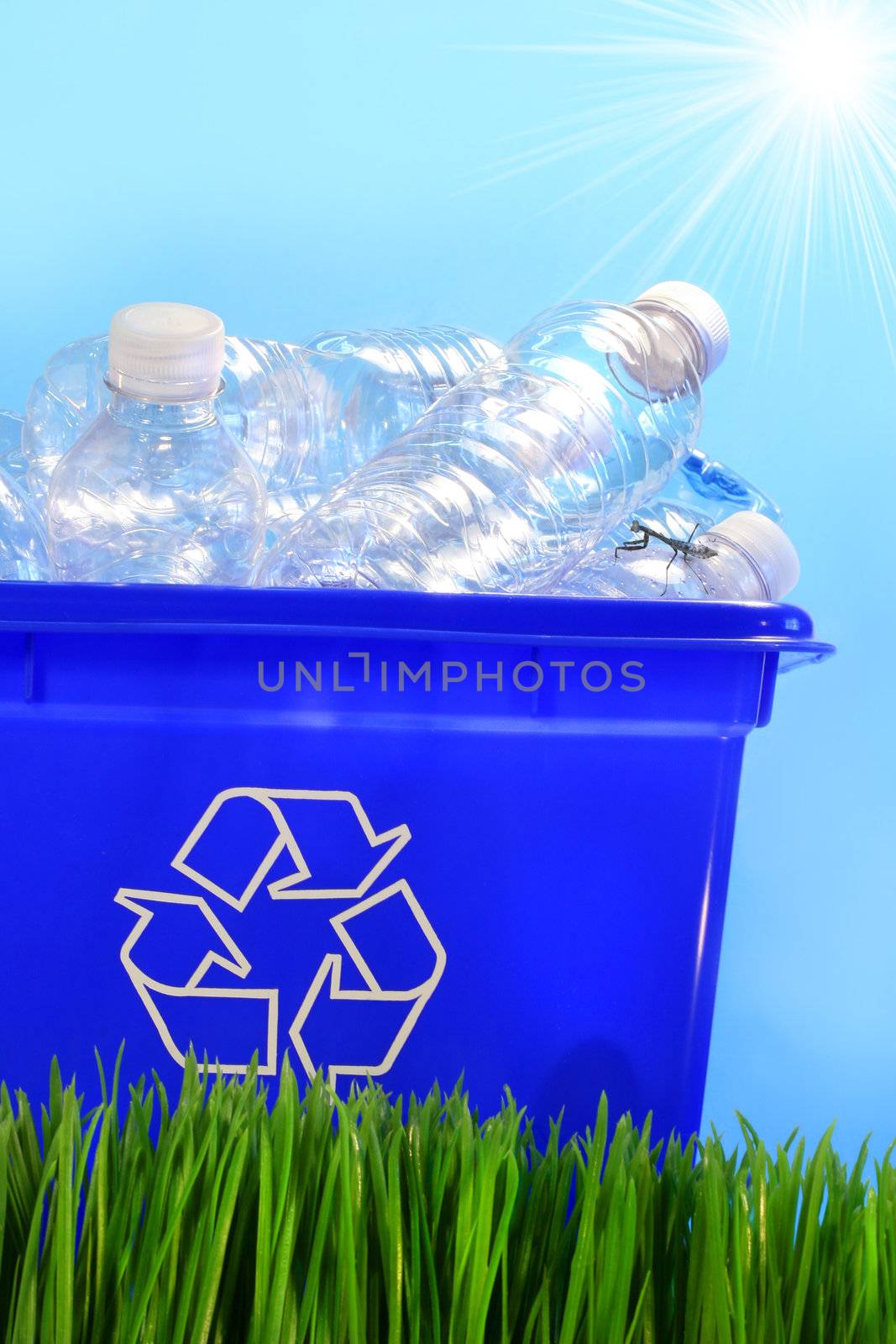 Bottles in recycling container bin by Sandralise