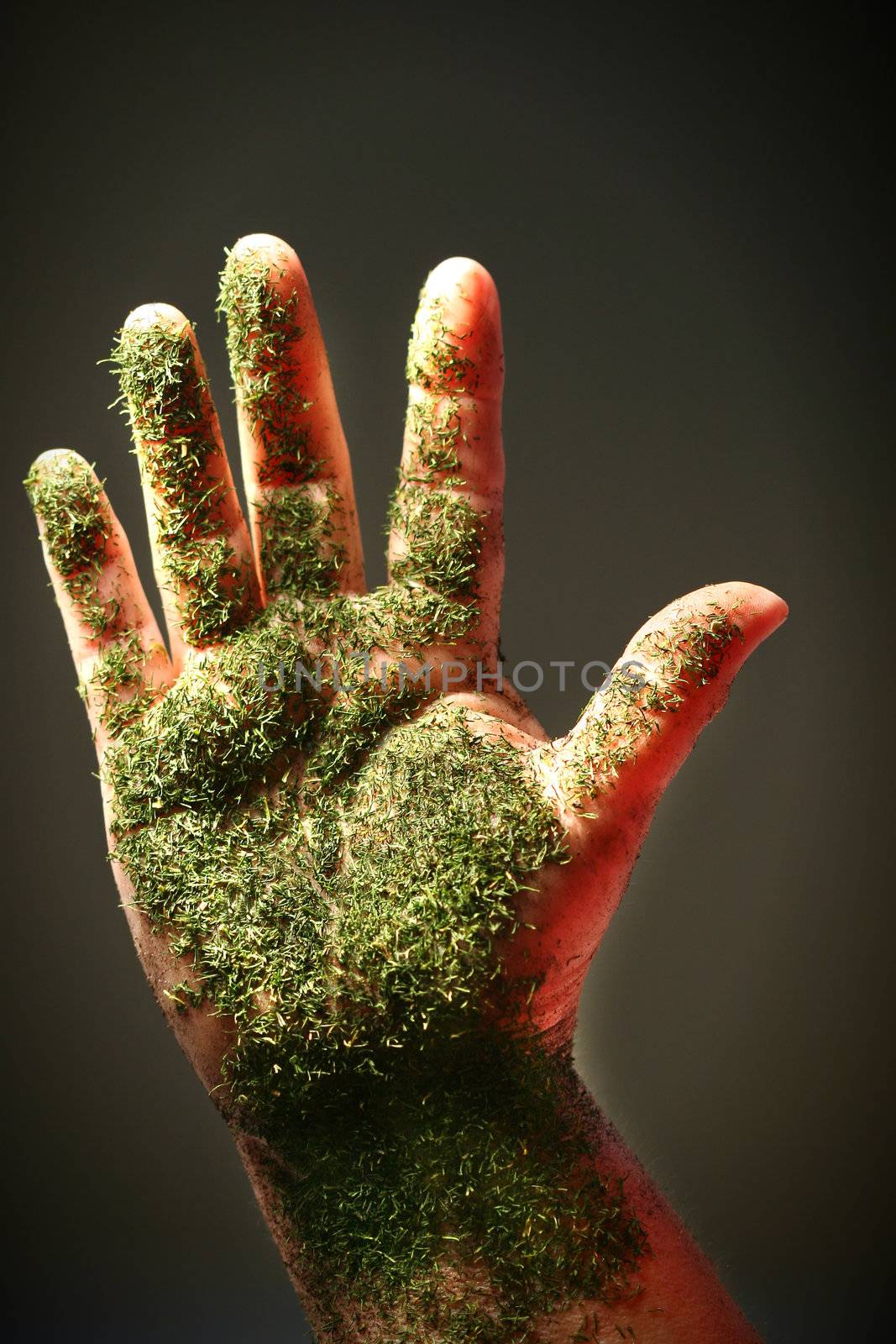 Open hand with green substance by Sandralise