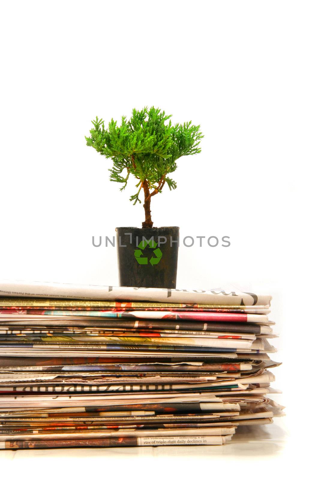 Small plant on top of a pile of newapapers