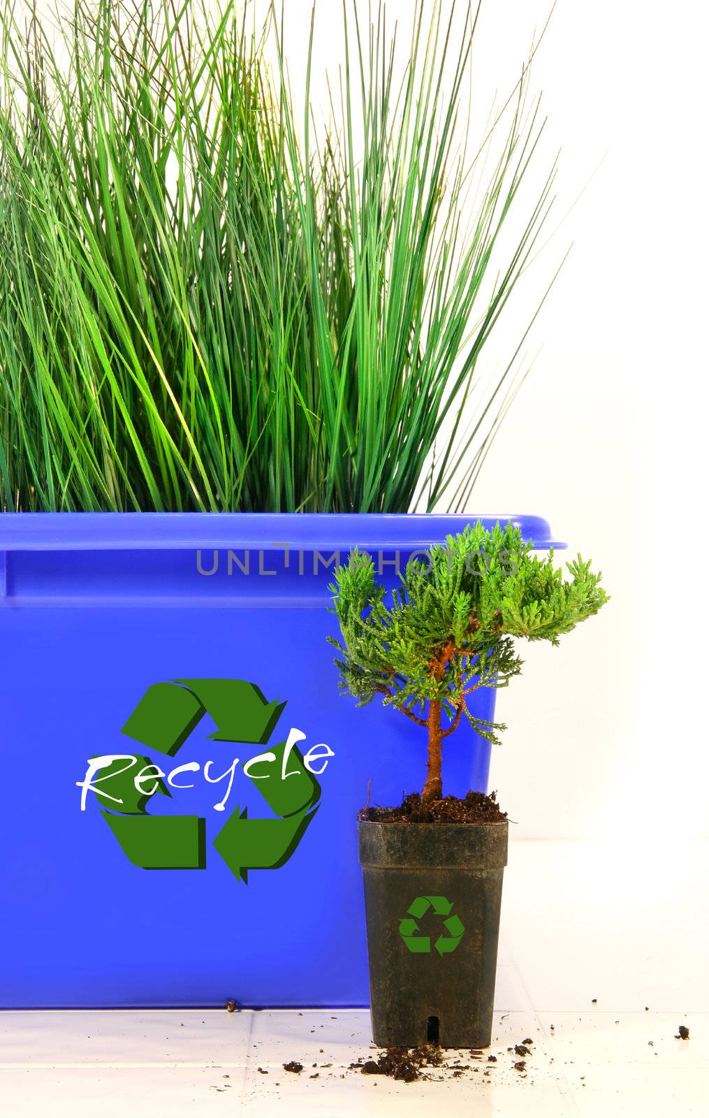 Tall grass inside recycle bin against wite background