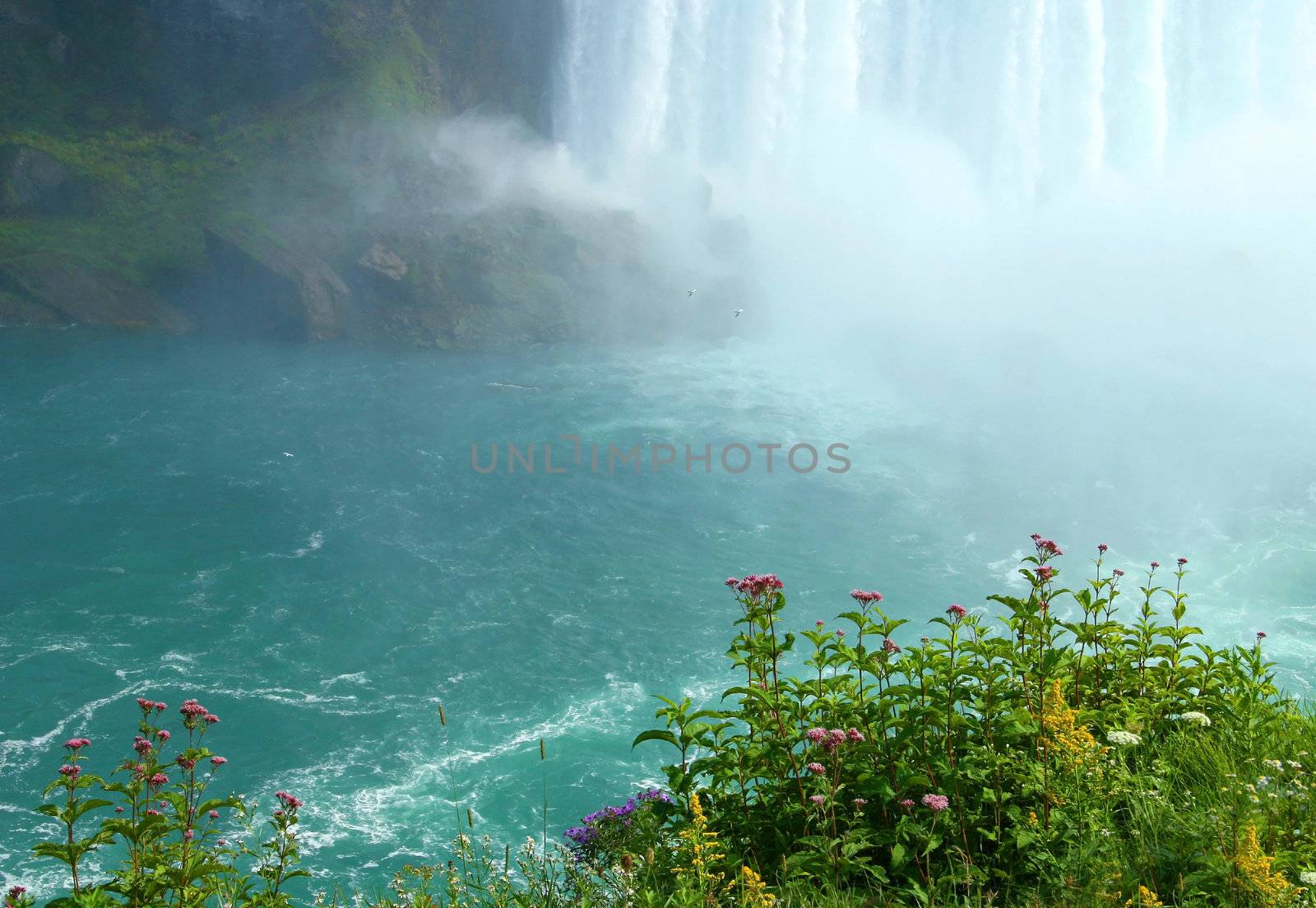 Cliff view with wild flowers  by Sandralise