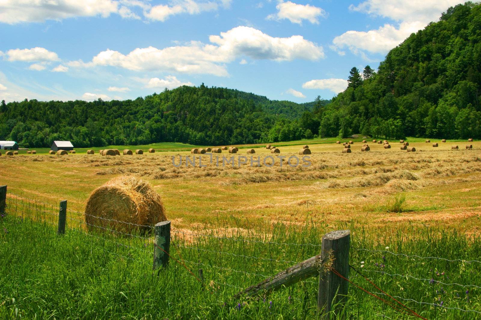 Hay cutting time in the Laurentiens, Quebec