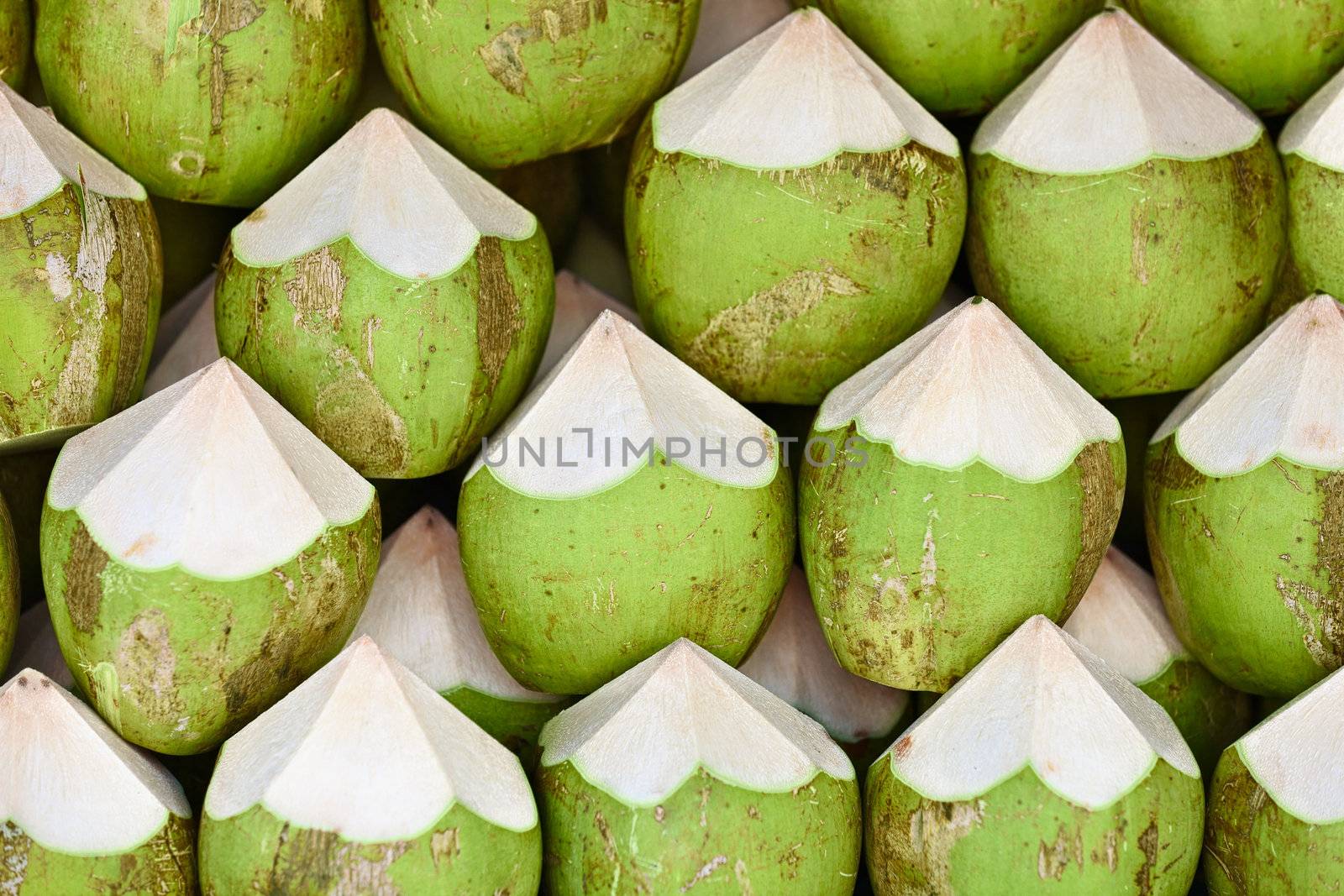 Coconuts are ready to sell - the background
