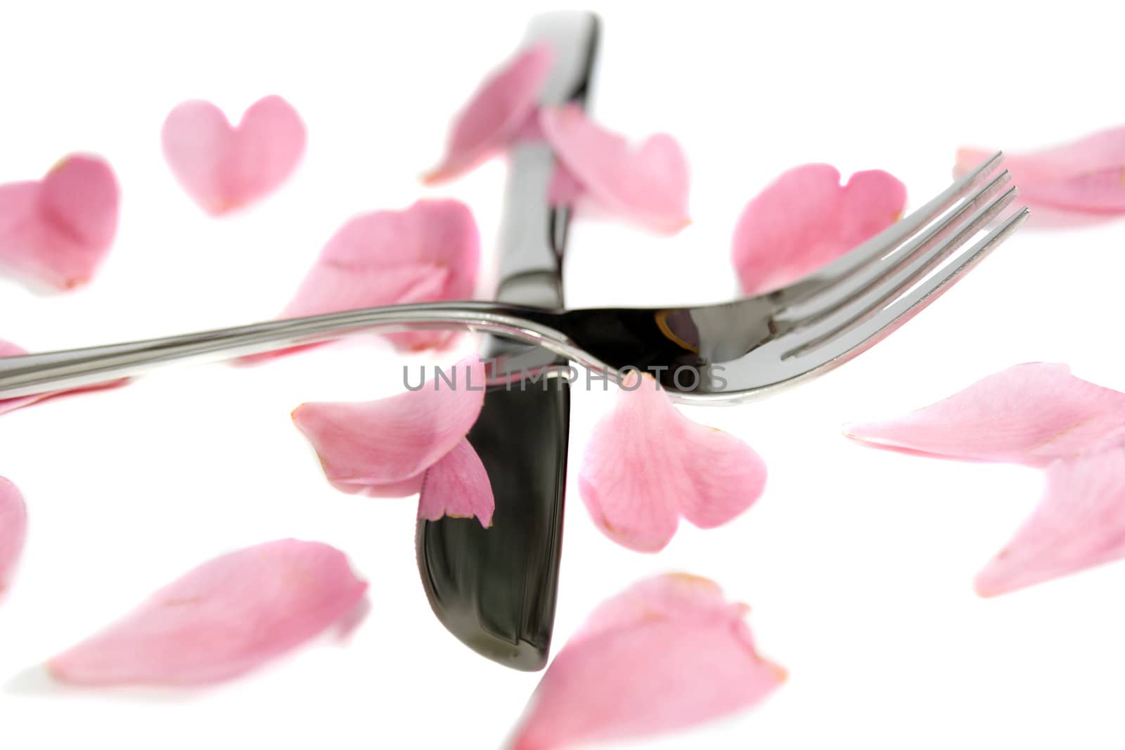 crossed fork and knife isolated with rose petals by morrbyte