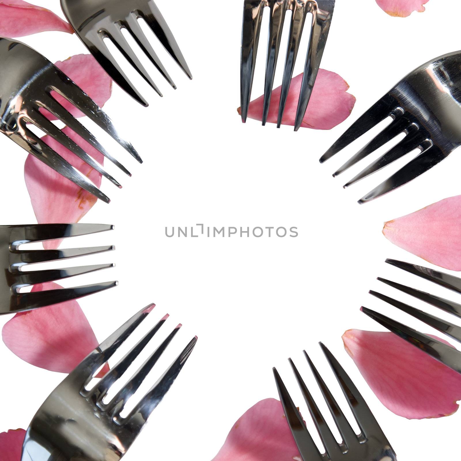 forks in a circle with rose petals for a concept on romantic dining on white background with copy space in the middle