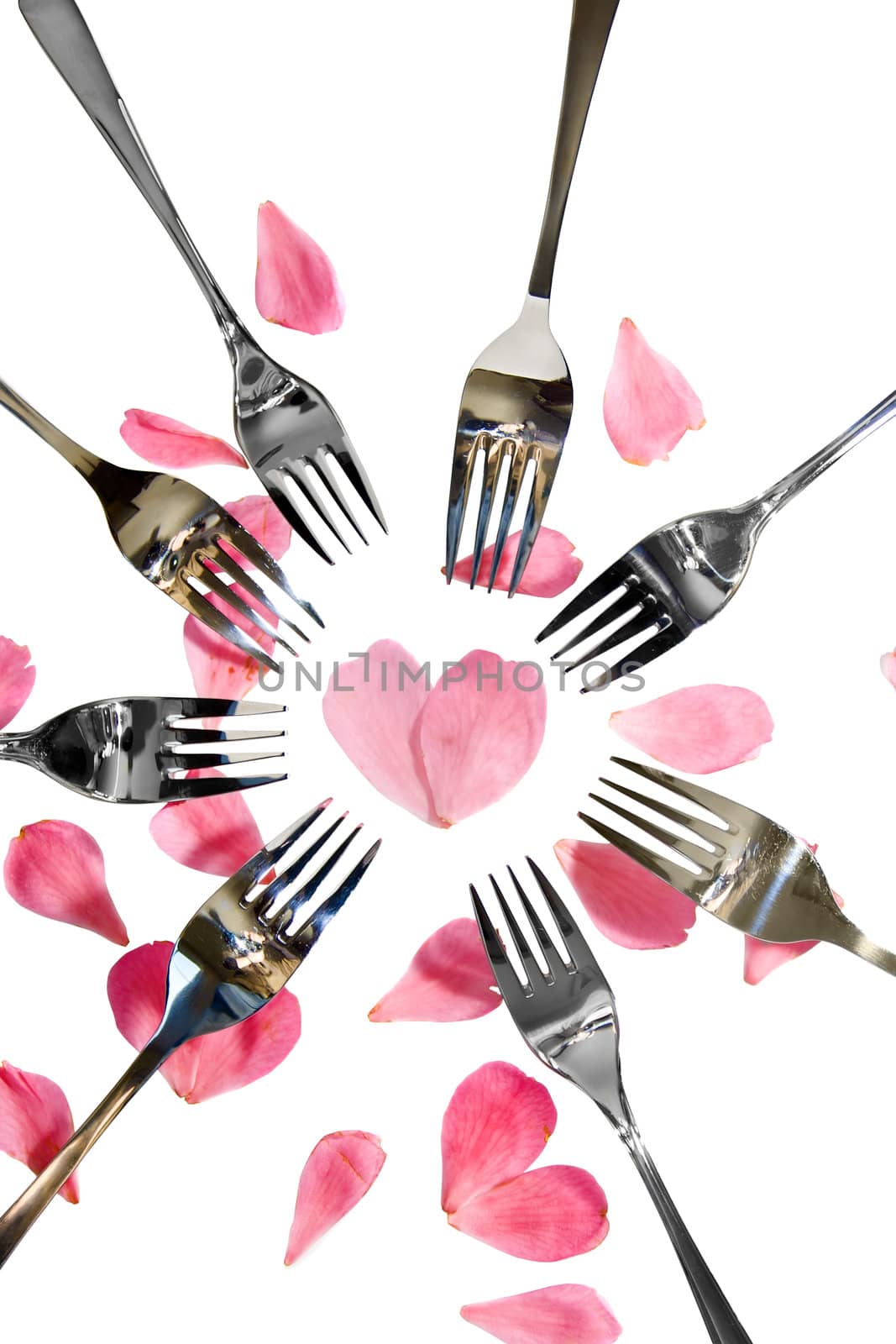 forks surrounding a heart shape petal with rose petals for a concept on romantic dining on white background